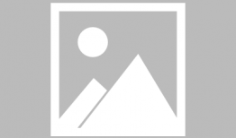 91无码直播 magnet,揭秘神秘直播内容的秘密通道